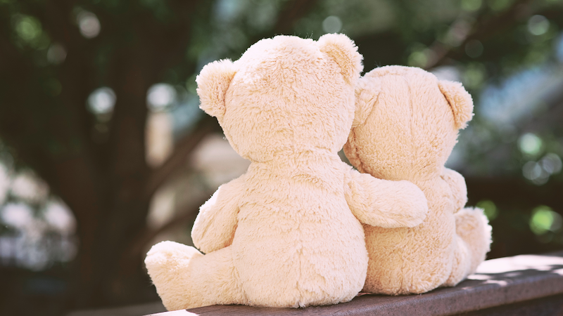 親子のクマのぬいぐるみがぎゅっと顔を寄せ合っている様子